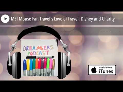 mei travel & mouse fan travel reviews